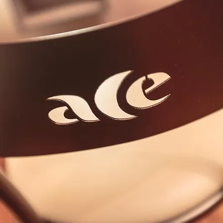 Отель Ace Анси
