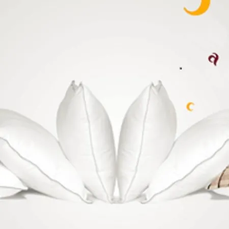 阿纳西王牌酒店 酒店 3*