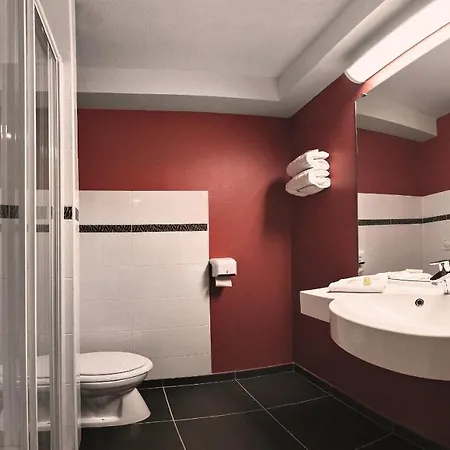 阿纳西王牌酒店