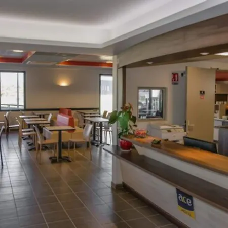 酒店 阿纳西王牌酒店