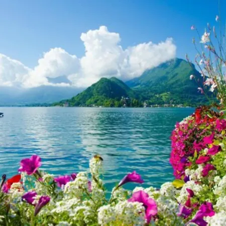 Ace Annecy